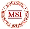 Montaque Securities International Ltd logo